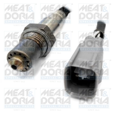 Oxygen Sensor